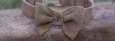 Du hast vielleicht schon seit ewigkeiten eine alte, kaputte jeans in der schublade, die dir eh nie wieder passen wird? Fliege Fur Den Hund Ein Halsband Mit Schleife Nahen Nordfalben