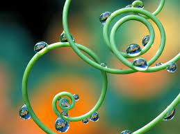 Nicefunnet Images On Photobucket Spirals In Nature Passion Flower Dew Drops