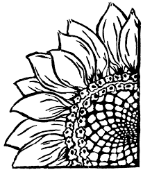 Black And White Simple Outline Outline Stencil Sunflower Clipart Corner Sunflower Stencil Sunflower Drawing Linocut