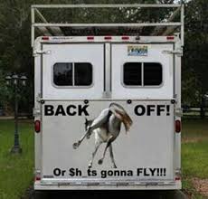 Welcome To Facebook Log In Sign Up Or Learn More Funny Horses Horse Trailer Organization Horse Trailers
