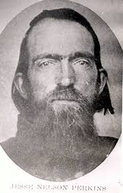 Jesse Nelson Perkins Mini Bio