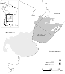 Can argentina's ranchers cash in on the commodities boom? Scielo Brasil Insights For Policy Based Conservation Strategies For The Rio De La Plata Grasslands Through The Ipbes Framework Insights For Policy Based Conservation Strategies For The Rio De La Plata Grasslands