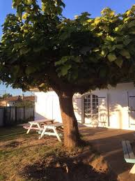 2 667 offres d'emploi de educatif social pour trouver l'emploi que vous cherchez. Offre D Emploi Aes Accompagnant Educatif Et Social Bordeaux En Gironde Tandem Educadis