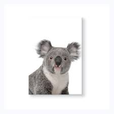 This Gorgeous Souvenir Magnet By Meg Wells Will Be Sure To Delight Them As A Little Souvenir Gift From Australia Or Australian Gifts Koala Australian Animals