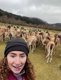 Looking for roommates in Shaw/Logan Circle/Dupont/Mount Vernon area