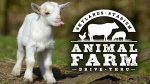 The bronx zoo was opened on november 8, 1899, to preserve and save animals. Skylands Stadium Drive Thru Animal Farm Jersey Family Fun