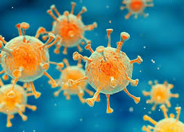 The delta variant can feel like a 'bad cold' for young people, experts have said. Covid 19 Update Delta Plus Variant Is Now Spreading Worldwide And More Docwire News