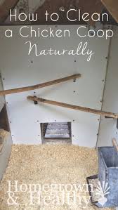 How To Clean A Chicken Coop Naturally A Tried And True All Natural Coop Cleaning Regimen That Will Take Diy Chicken Coop Building A Chicken Coop Chicken Diy