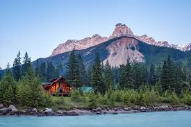 This 2 room cabin can sleep up to 4 people with a fold down futon and bunk beds. Cozy Cabins 40 Cabin Rentals For An Outdoor Getaway Sunset Magazine