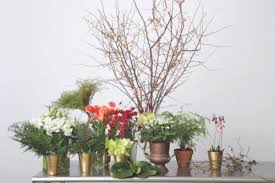 We make sending flowers fun! Into The Woods Flower Magazine