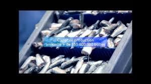 Silver Food Une Des Plus Grandes Conserveries De Poissons Au Maroc