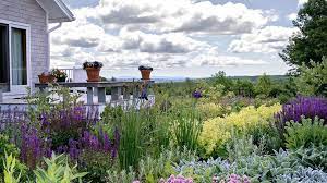 However the best ways to matte red. Two Acres Of Low Maintenance Landscape In Penobscot Maine Homes By Down East