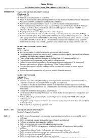Outpatient Coder Resume Samples Velvet Jobs