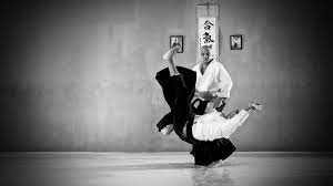 Looking for a bit stunning yet unique for your desktop? Aikido Hd Wallpapers Wallpaper Cave