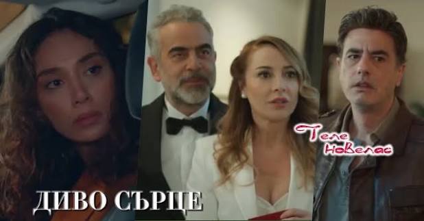 Утре в "Диво сърце": Тайният свидетел на Елиф е; Серхан подготвя тайно истински брак (4 май) https://tvnovellas.blogspot.com/2026/05/4_66.html