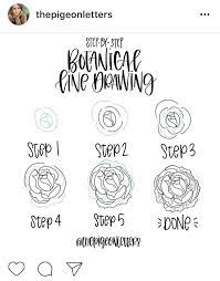 How To Draw Flowers By Thepigeonletters On Instagram Botanical Line Drawing Flower Drawing Botanical Drawings