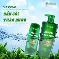 Gia Công Dầu Gội Thảo Dược Tự Nhiên
