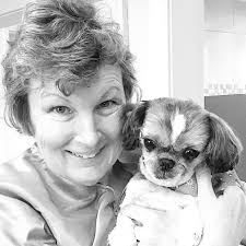 White Rock Dog Grooming