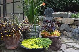 Garden Design Hyland Garden Design In 2020 Garden Design Garden Plants