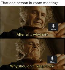 Zoom, is definitely starting to annoy us all. Best 30 Meeting Fun On 9gag