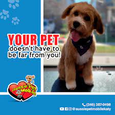 Your pet is part of the family, and should be treated as such. In A New Era Where Services Are Aussie Pet Mobile Katy Facebook