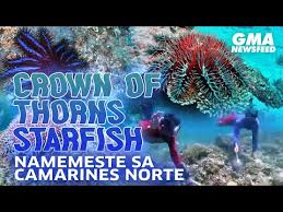 Get breaking south africa news, pictures, multimedia and analysis as it happens. 6fnubsbow9zjhm