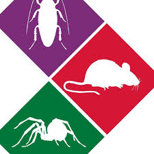 When it comes to suburban residential home pest control here in the portland oregon and vancouver washington area, reputation, experience and. Tri City Termite Pest Control Llc Home Facebook