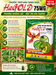 Hagold 75WG