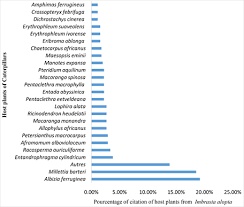 Image result for Millettia eetveldeana