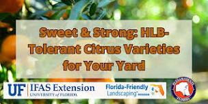2026 Sweet & Strong: HLB-Tolerant Citrus Varieties