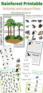 Free Animals Of The Amazon Rain Forest Printables Homeschool Giveaways