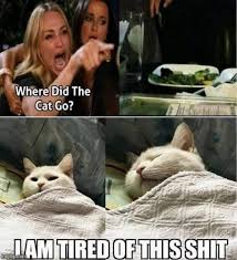 People are using to express tons of funny opinions, here are the best. Cat Scream Imgflip