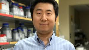 The brains of pairs of animals synchronize during social interaction