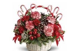 Check spelling or type a new query. Candy Cane Magic By Julian S Flowers In Norfolk Va Alignable