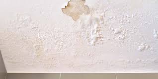 Peindre mur exterieur chaux le mur avec une brosse épaisse, en donnant des coups horizontaux. Peinture Qui Cloque Ou Qui S Enleve Que Faire