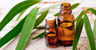 Image result for images Essential Oils