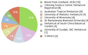 Image result for Streblus usambarensis