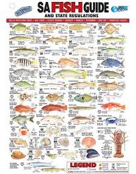 Freshwater Fishing Australia 147 Australian Fishing Network