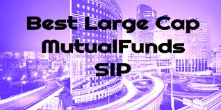 The Best Large Cap Mutual Funds To Invest In 2022