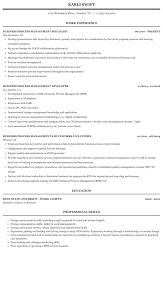 business process management resume