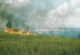 Firefighters were working to extinguish wild fires across southern turkey after they spread rapidly towards towns after being helped by hot weather and fanned by strong winds. Photo Archive Prescribed Fire In Ecosystems Of Florida