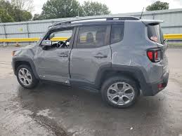 Image result for Sting Grey 2020 Renegade