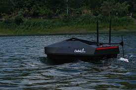 Everything You Need To Know About Bait Boats - Rippton