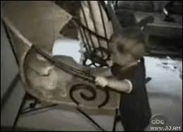 Gif bilder lustig wunderschöne bilder witzige bilder animierte smileys dreamies bewegliche bilder schön gif basteln frühling kinder bewegte bilder niedlich. Lustige Katzen Gifs Katzenwiewir De