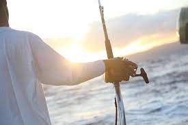 Top 4 Saltwater Fishing Baits - Fishmaster Blog