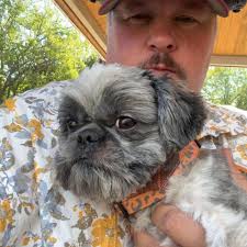 Handy person for security gate repair?