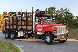 If you please, a response. Nolan Tree East Meadow Ny Tree Services Mapquest