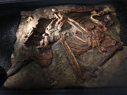 Maybe you would like to learn more about one of these? Fossil Finger Points To A Surprising Link Between Humans And Denisovans Nova Pbs Nova Pbs