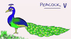 Draw a slender neck at the bottom, as well as a small body and wing. How To Draw A Peacock Easy Step By Step Drawing Lessons For Kids Dailymotion Video