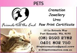 Feral cats are solitary nocturnal, placental mammals that look pretty much like the common everyday household cat. Friends Till The End Pet Cremation Little Pink Book Australia